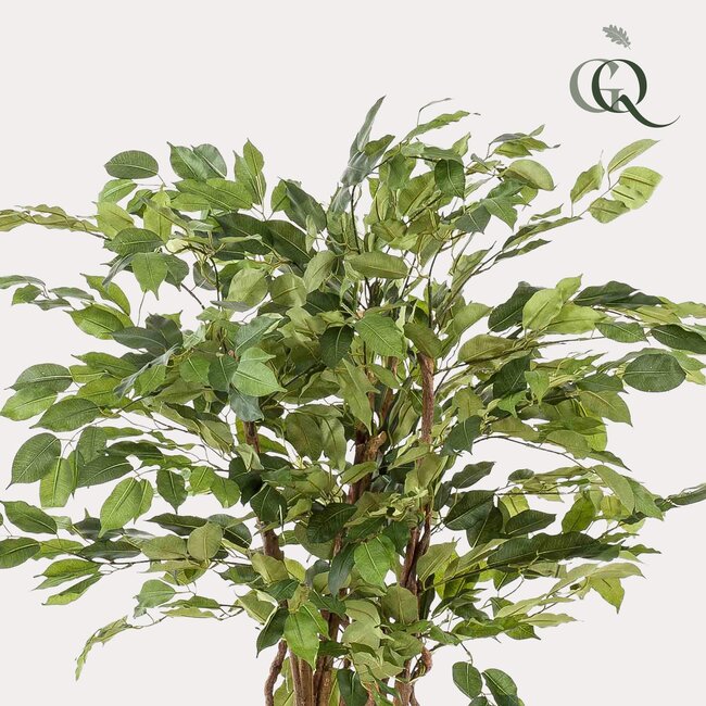 kunstplant - Ficus liana - Vioolbladplant - 140cm