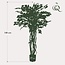 kunstplant - Ficus liana - Vioolbladplant - 140cm