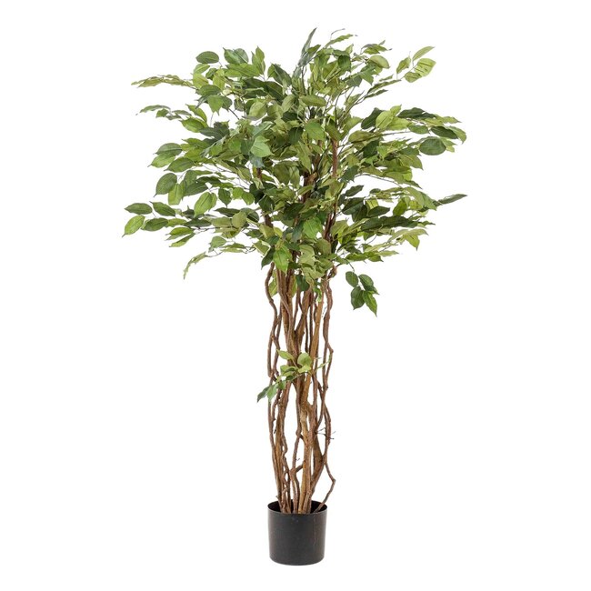 kunstplant - Ficus liana - Vioolbladplant - 140cm
