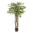 kunstplant - Ficus liana - Vioolbladplant - 140cm