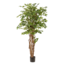 kunstplant - Ficus liana - Vioolbladplant - 170cm