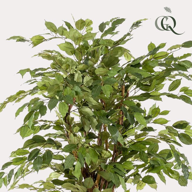 kunstplant - Ficus liana - Vioolbladplant - 170cm