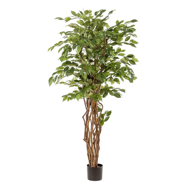 kunstplant - Ficus liana - Vioolbladplant - 170cm