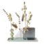 Dried Beauty - droogbloemen met vaasjes