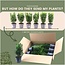 1 meter Groene Kardinaalsmuts haag - Euonymus japonicus 'Green Spire' - Set van 6 winterharde haagplanten - Groenblijvende haag - Vers van de kwekerij geleverd