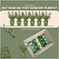 1 meter Hulst haag - Ilex crenata 'Jenny'® - Set van 6 winterharde haagplanten - Groenblijvende haag - Vers van de kwekerij geleverd