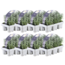 8 x 6er set Lavendel angustifolia - 48 x Ø7 cm - ↕15 cm