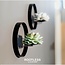 ROOTLESS Succulent Echeveria Lilacina op Muurdeco standaard zwart Ø20 cm - ↕20 cm