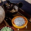 ROOTLESS Succulent Echeveria Pulidonis in schaal 'geel' Ø20 cm - ↕5 cm