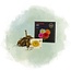 Flowerbulbs Amsterdam - 12 dahlia seattle knollen voor 2 m², grootbloemige uitstraling