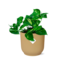 Epipremnum Pinnatum ‘Aureum’ in ELHO Vibes Fold 14cm geel
