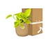 Epipremnum Pinnatum ‘Golden Pothos’ in ELHO Vibes Fold 14cm geel