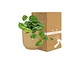 Scindapsus Pictus ‘Argyraeus’ in ELHO Vibes Fold 14cm geel