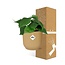 Philodendron Scandens in ELHO Vibes Fold 14cm geel
