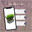 "Buxus NewGen Freedom 6-Pack – Winterharde Groenblijvende Struiken 6 x Ø7 cm - ↕15 cm | Compacte Buxus"