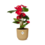 Anthurium Red 12cm in ELHO Vibes Fold 14cm geel