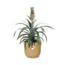 Ananas Mi Amigo in ELHO Vibes Fold 14cm geel
