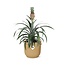 Ananas Mi Amigo in ELHO Vibes Fold 14cm geel