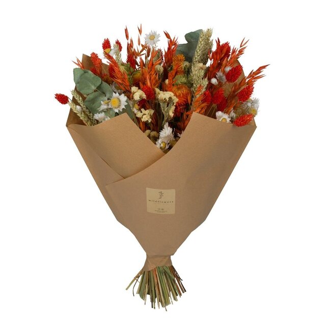 Droogbloemen - Klassiek Boeket - Oranje - ↕60cm