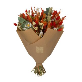 Droogbloemen - Klassiek Boeket - Oranje - 4 boeketten - ↕60cm