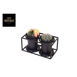 Cactus Duo in Designlijst - Ø17cm - ↕12cm