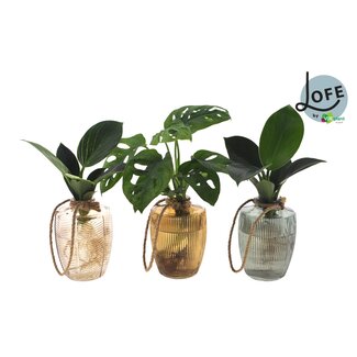 LOFE | Intenz Mix in Waltz Glas - 3 stuks - Ø7cm - ↕25cm