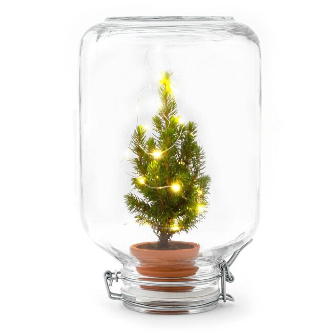 Easyplant - Kerst - Kerstdecoratie - ↕ 28 cm