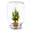 Easyplant - Kerst - Kerstdecoratie - ↕ 28 cm