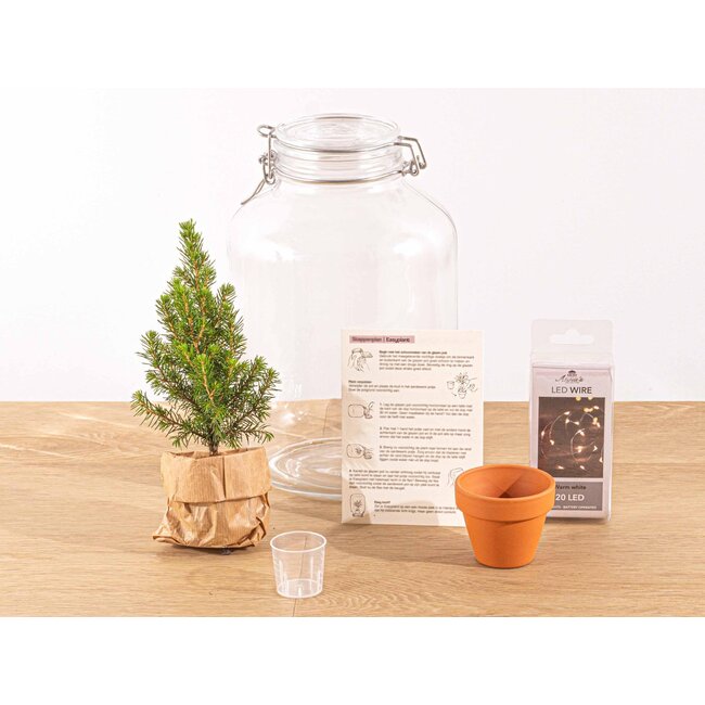 Easyplant - Kerst - Kerstdecoratie - ↕ 28 cm