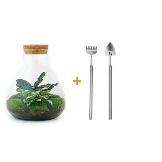 DIY terrarium - Sammie - ↕ 27 cm - Hark + Schep