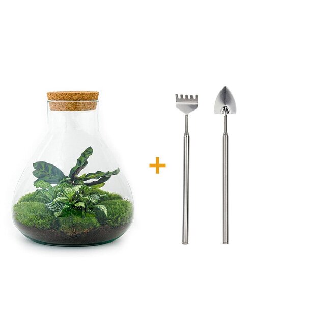 DIY terrarium - Sammie - ↕ 27 cm - Hark + Schep