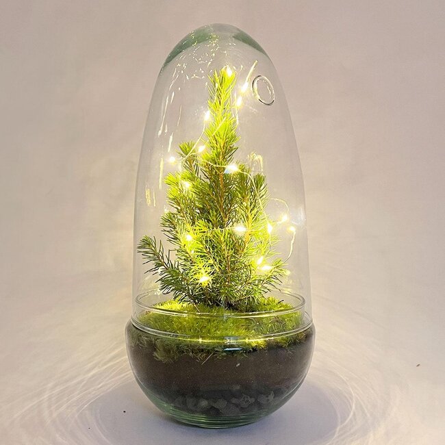 DIY terrarium - Kerstei - Kerstdecoratie ↕ 25 cm