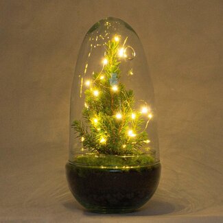 DIY terrarium - Kerstei - Kerstdecoratie ↕ 25 cm