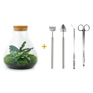DIY terrarium - Sammie - ↕ 27 cm - Hark + Schep + Pincet