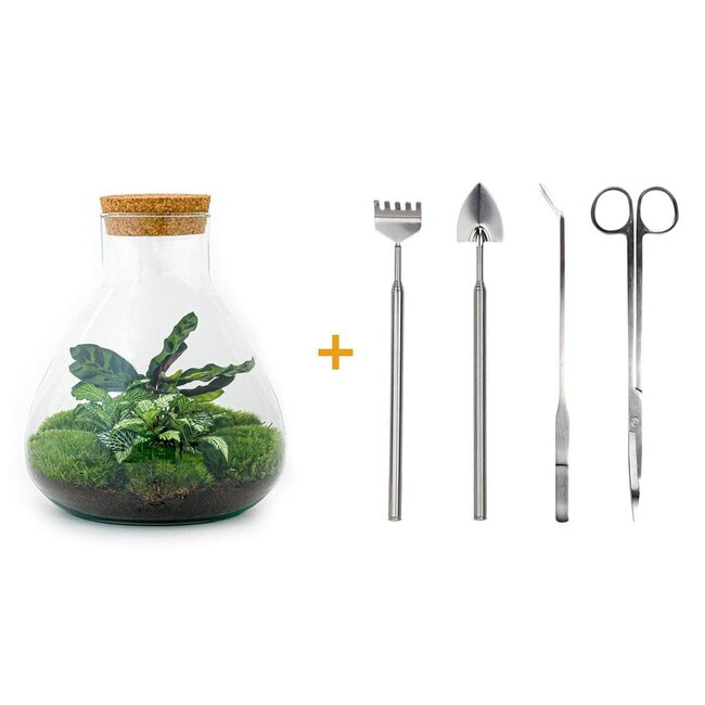 DIY terrarium - Sammie - ↕ 27 cm - Hark + Schep + Pincet
