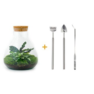 DIY terrarium - Sammie - ↕ 27 cm - Hark + Schep + Pincet + Schaar