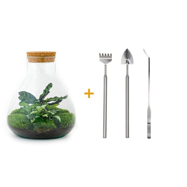 DIY terrarium - Sammie - ↕ 27 cm - Hark + Schep + Pincet + Schaar