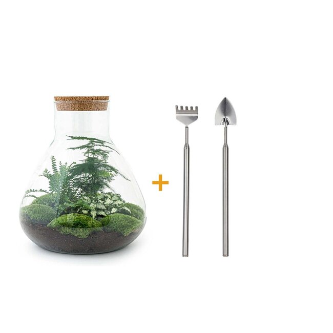 DIY terrarium - Sam XL - ↕ 35 cm - Hark + Schep