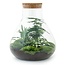 DIY terrarium - Sam XL - ↕ 35 cm - Hark + Schep