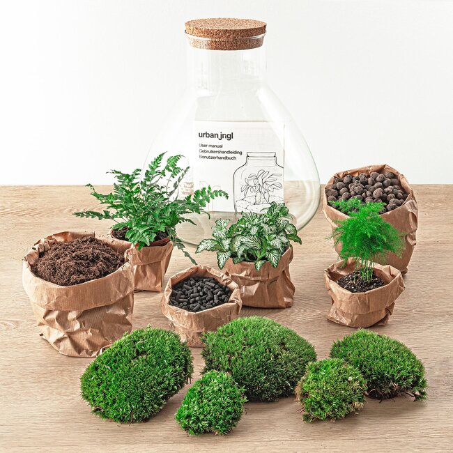 DIY terrarium - Sam XL - ↕ 35 cm - Hark + Schep