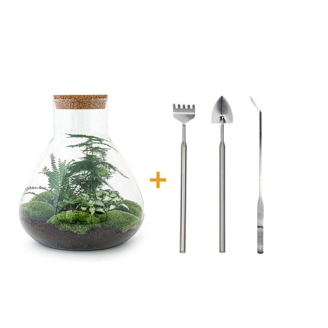 DIY terrarium - Sam XL - ↕ 35 cm - Hark + Schep + Pincet
