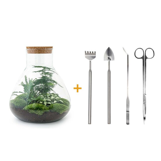 DIY terrarium - Sam XL - ↕ 35 cm - Hark + Schep + Pincet + Schaar