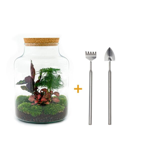 DIY terrarium - Milky - ↕ 30 cm - Hark + Schep