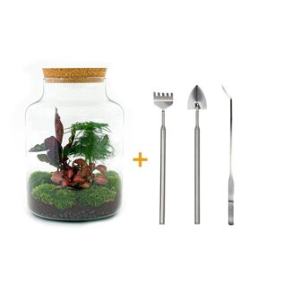 DIY terrarium - Milky - ↕ 30 cm - Hark + Schep + Pincet