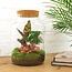 DIY terrarium - Milky - ↕ 30 cm - Hark + Schep + Pincet