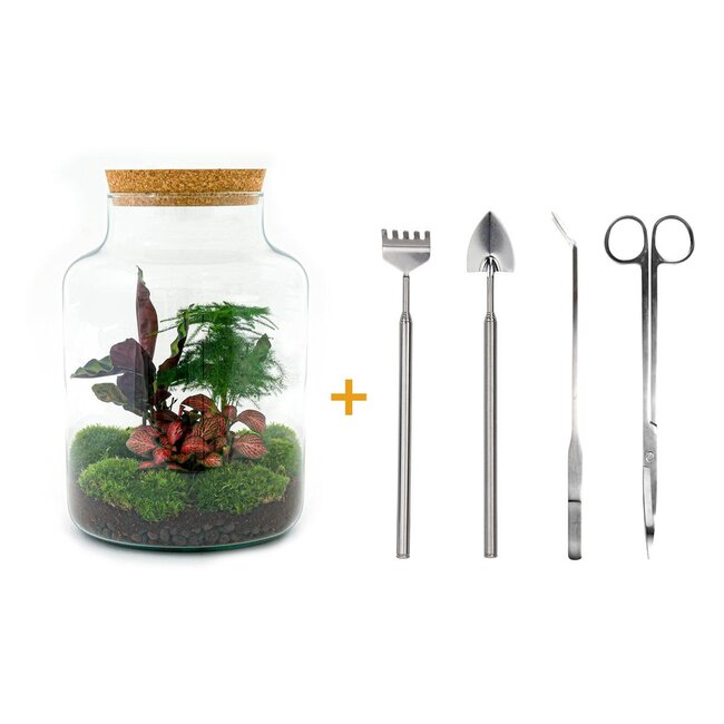 DIY terrarium - Milky - ↕ 30 cm - Hark + Schep + Pincet + Schaar