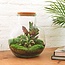 DIY terrarium - Teddy - ↕ 26,5 cm - Normaal