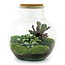 DIY terrarium - Teddy - ↕ 26,5 cm - Hark + Schep