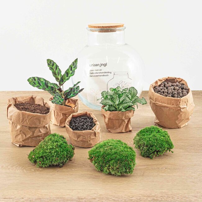 DIY terrarium - Teddy - ↕ 26,5 cm - Hark + Schep