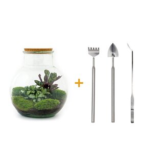 DIY terrarium - Teddy - ↕ 26,5 cm - Hark + Schep + Pincet